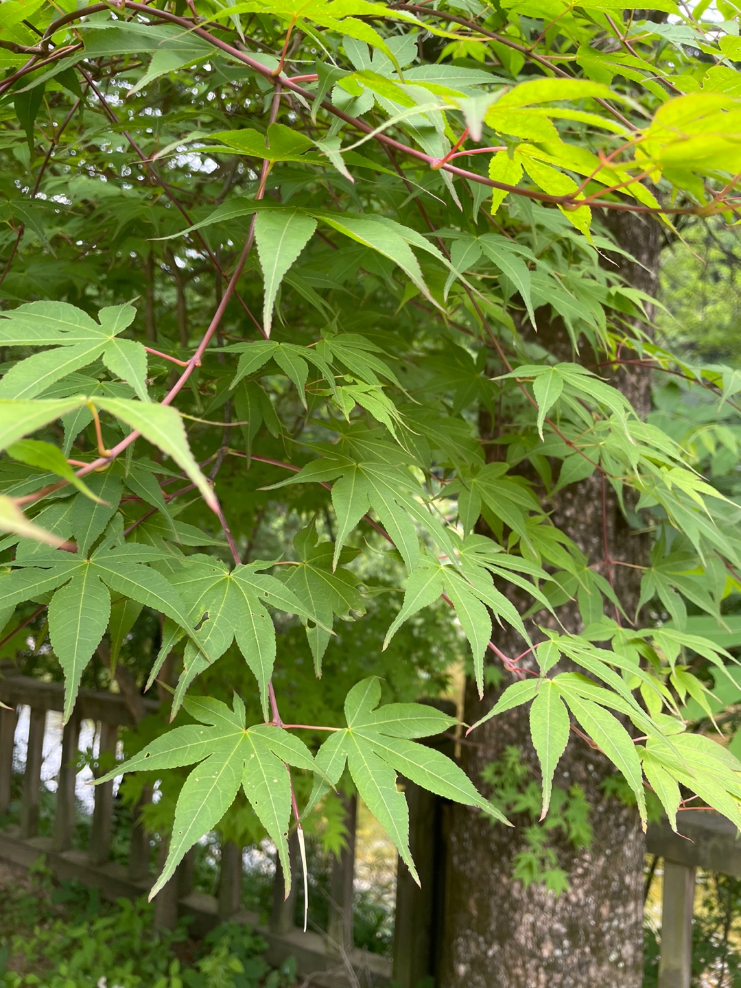 d1c4642e658e8b59b1f8c18f7296f3d0_1657850812_7307.jpg d1c4642e658e8b59b1f8c18f7296f3d0_1657850812_7307.jpg